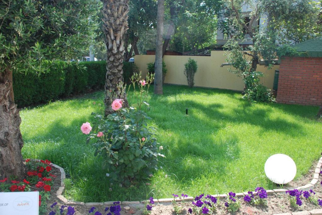 Villa Adora Beach Side Zewnętrze zdjęcie